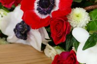 ein Bild aus dem Album